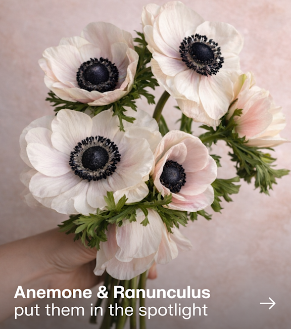 Anemone | Ranunculus