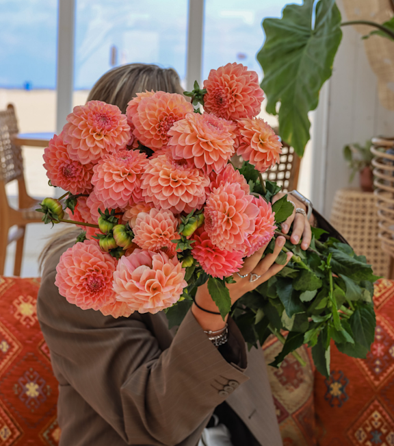 Dahlia S