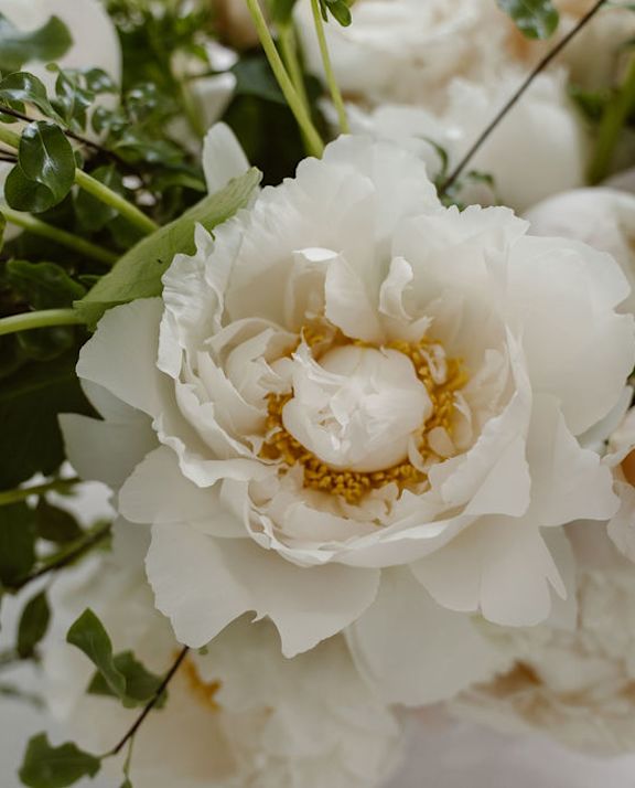 Peonie come fiore di nuziale