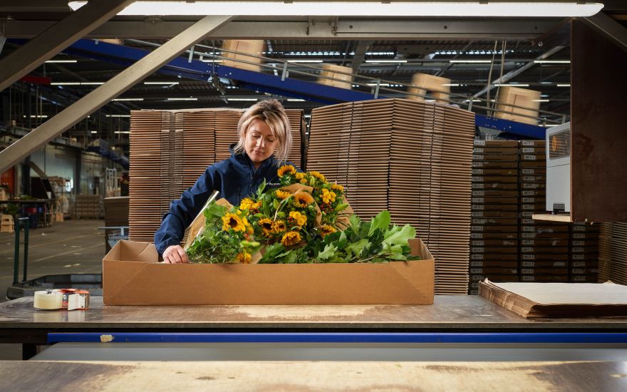 VDP - Employee packing flowers (2)