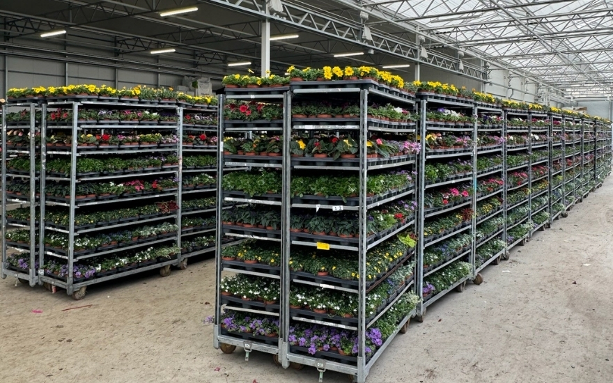 Danske vogne med potteplanter