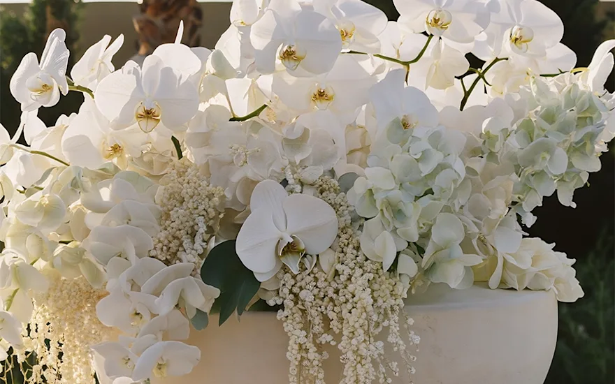 Elegante orkideer og hortensiaer