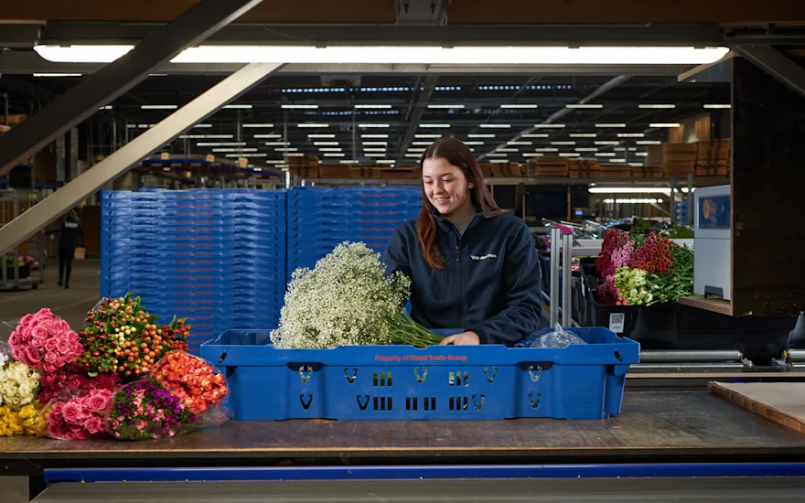 Flower wholesaler | flower packing