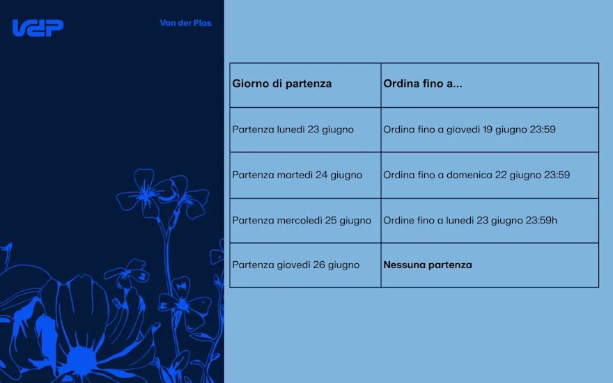 Kopie van NAVO (1200 x 800 px) (6)