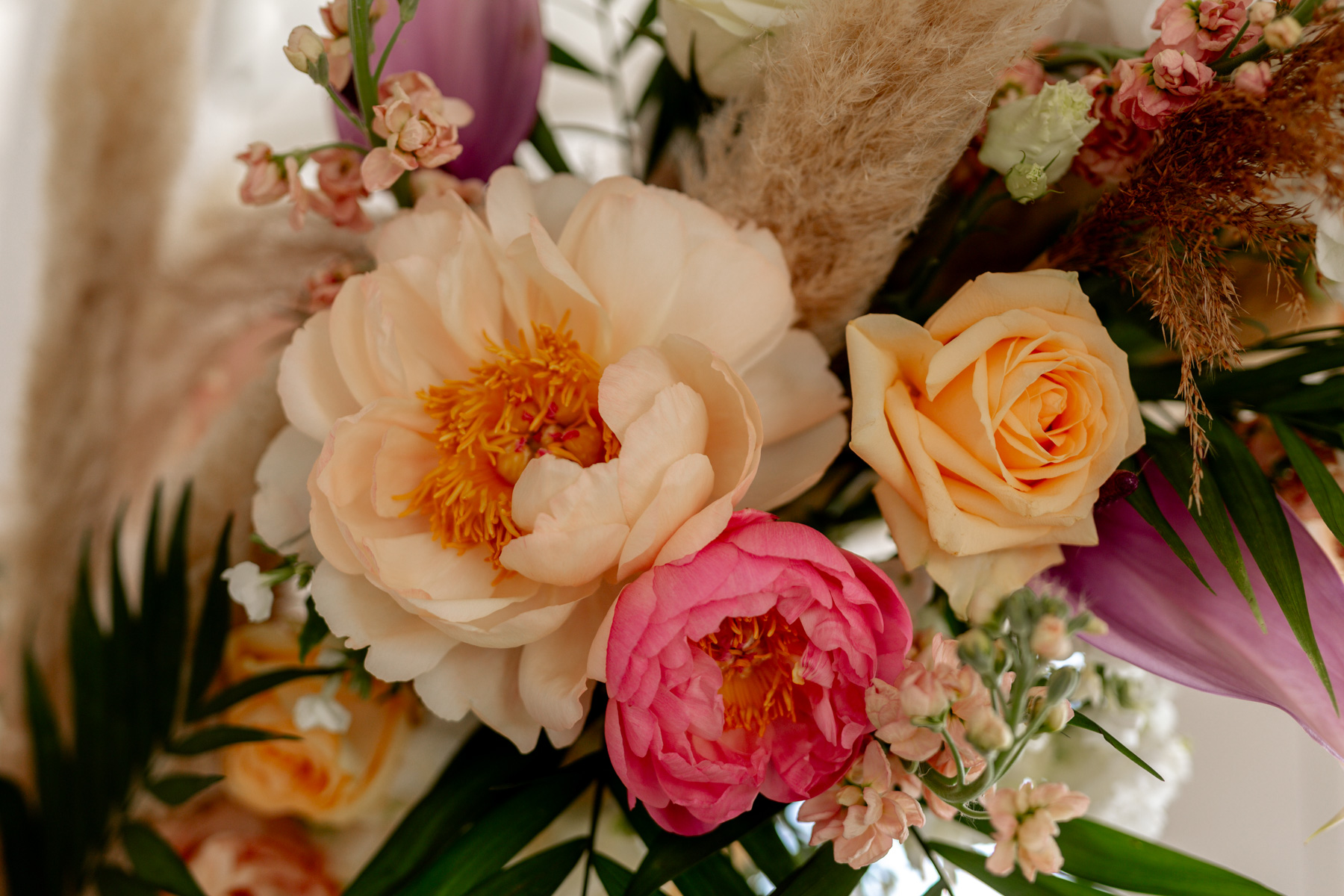 Van der Plas - Wedding peonies 