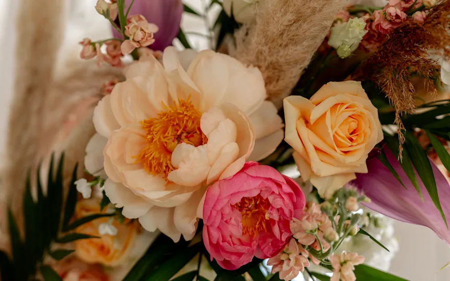 Van der Plas - Wedding peonies