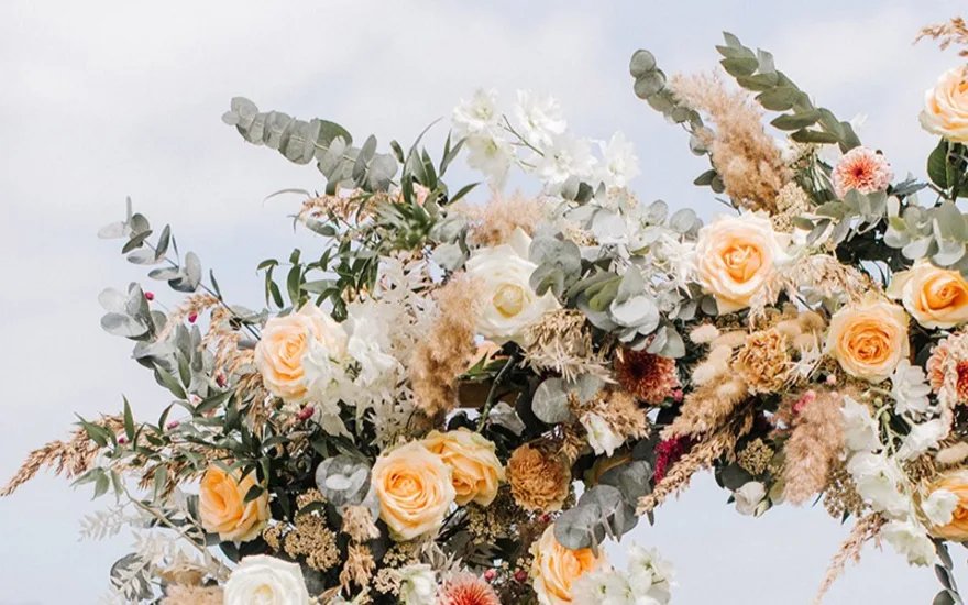 Some of the assortment of Berg Roses
