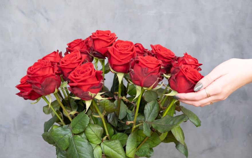 Rose rosse Porta Nova