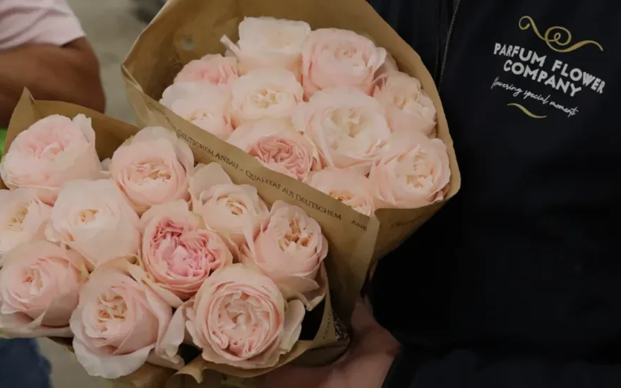 Parfum Roses blog-1
