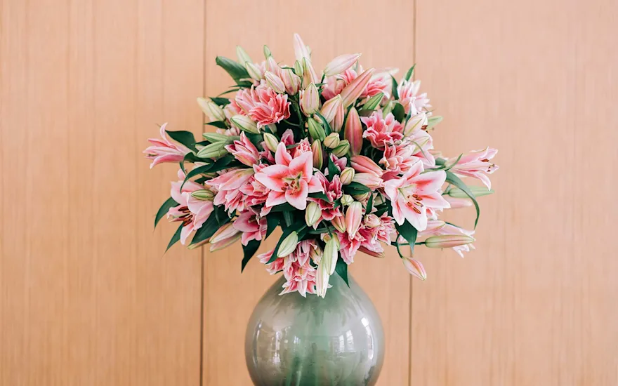 Lelie sfeershoot roze B 1022 verkleind (20)