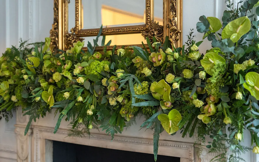 Van der Plas - Amie Bone - Wedding