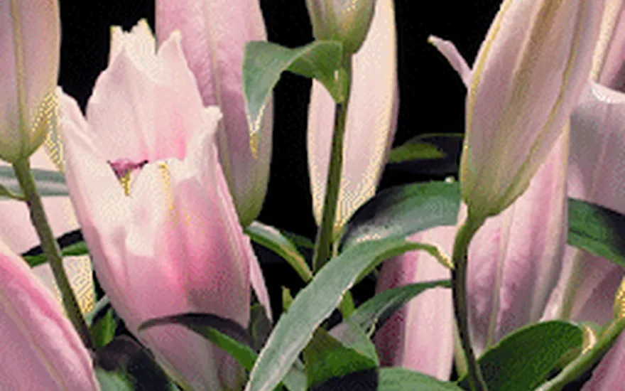 9F9844CA-BFDE-4AA1-94BC-132D9547EB3A