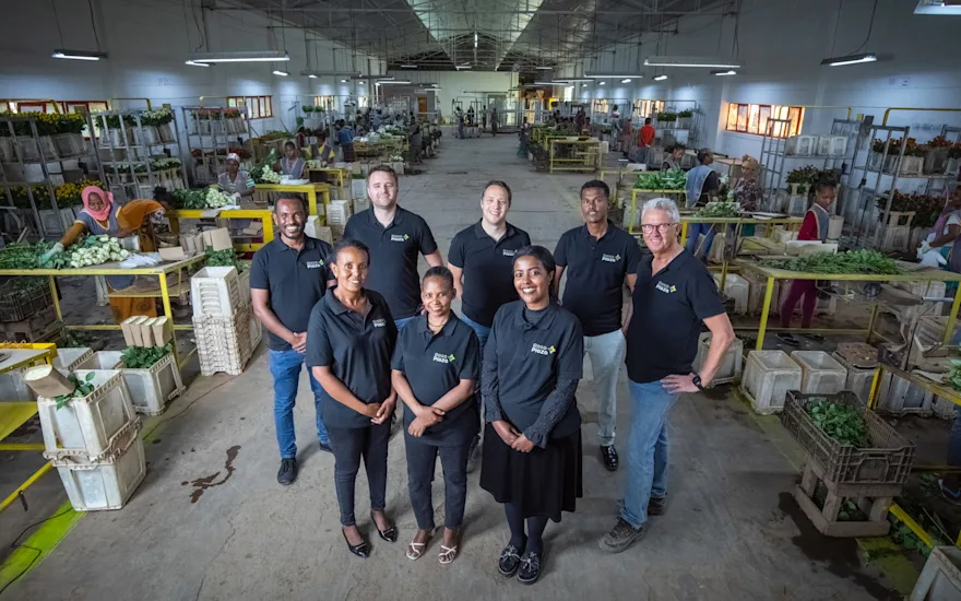 Rosa Plaza roser – Topkvalitet fra Van der Plas