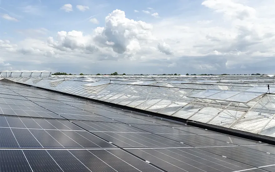 Durable quality flowers