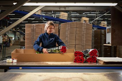 Red Naomi - la rosa dell'amore per eccellenza