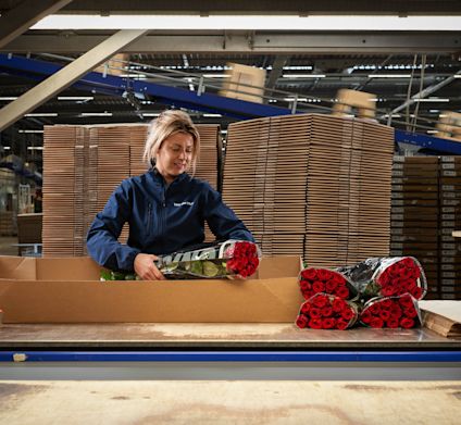 Red Naomi - la rosa dell'amore per eccellenza