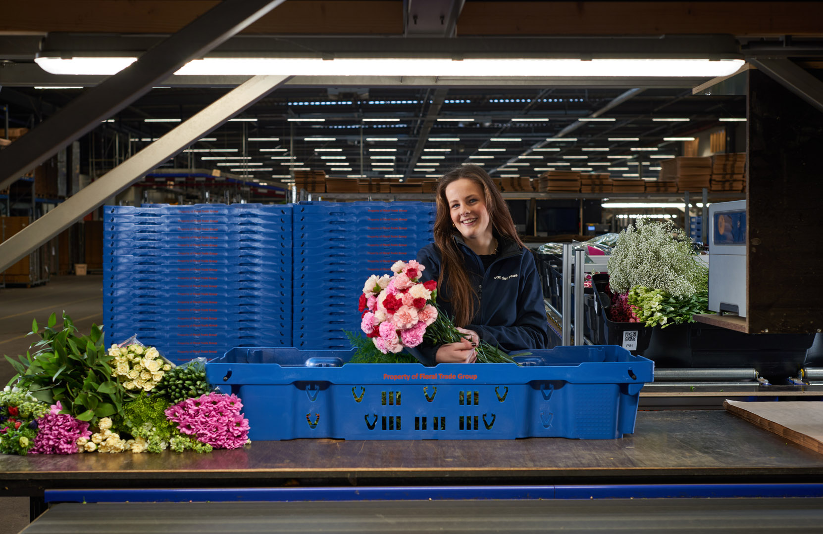 Medwerker inpak roze anjers krat website B 0324 (3) verkleind