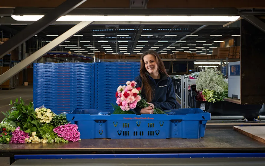 Medwerker inpak roze anjers krat website B 0324 (3) verkleind