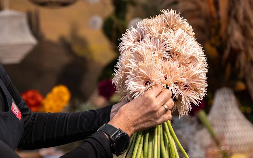 Van der Plas - Weddingflowers Gerbera