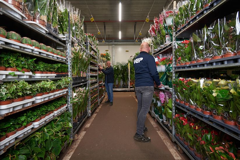 VDP - Employees plant department (1)