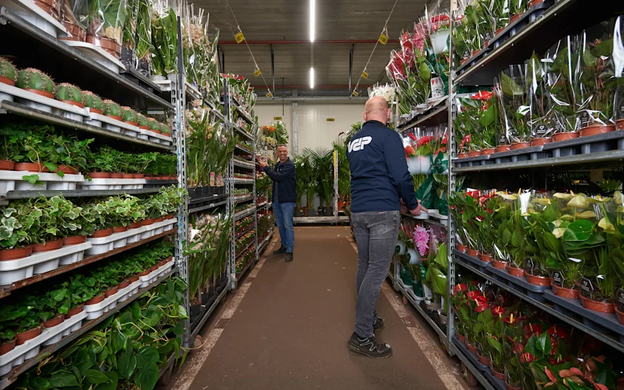 VDP - Employees plant department (1)