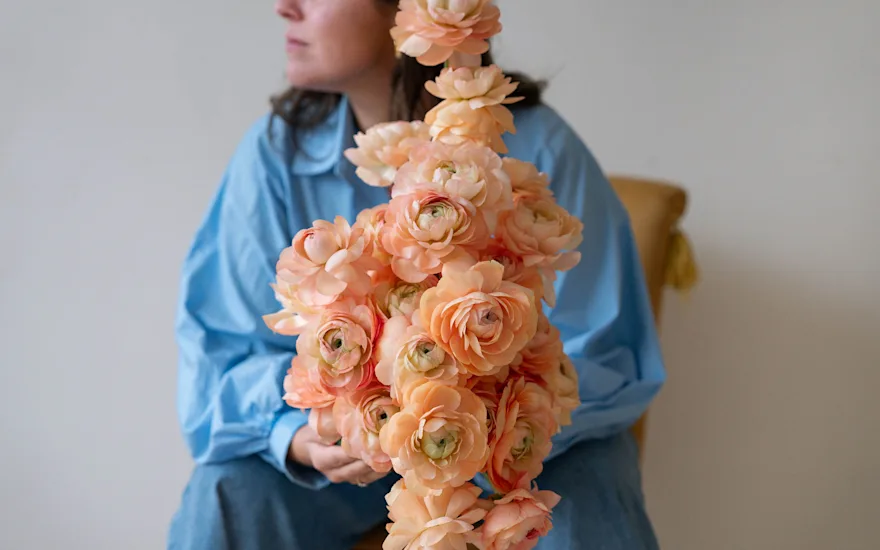 Van der Plas - Ranunculus