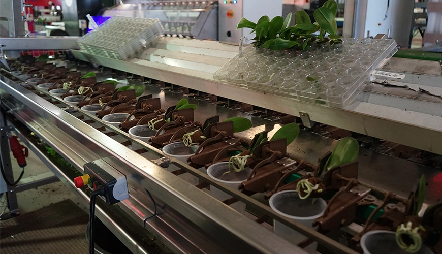 LevoPlant Greenhouse