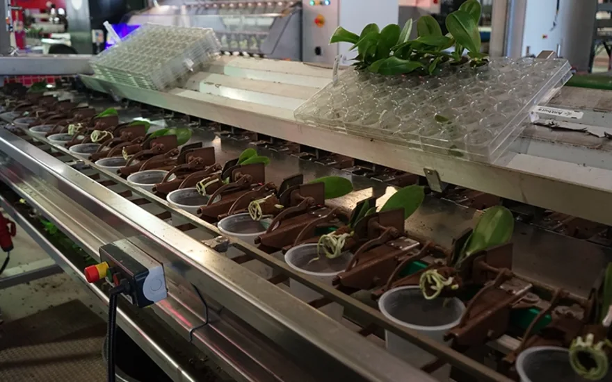 LevoPlant Greenhouse