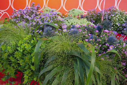 Letní květinová výstava