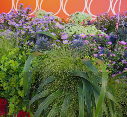 Summer flowers display