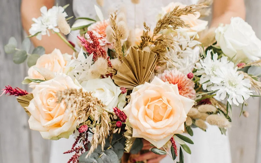 The Avalanche+ Peach up close