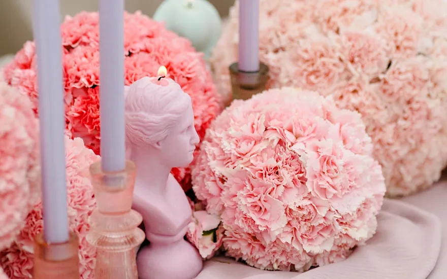 Van der Plas wedding anjer25.2