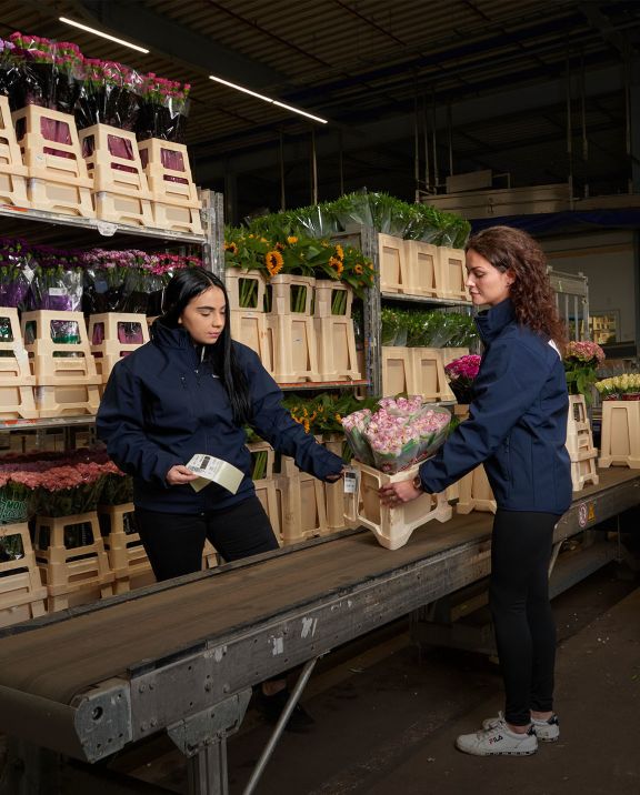 VDP - Employees at flower supply chain 1