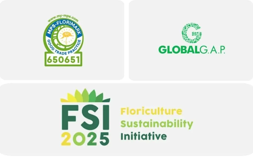 baerekraftig-blomstergrossist