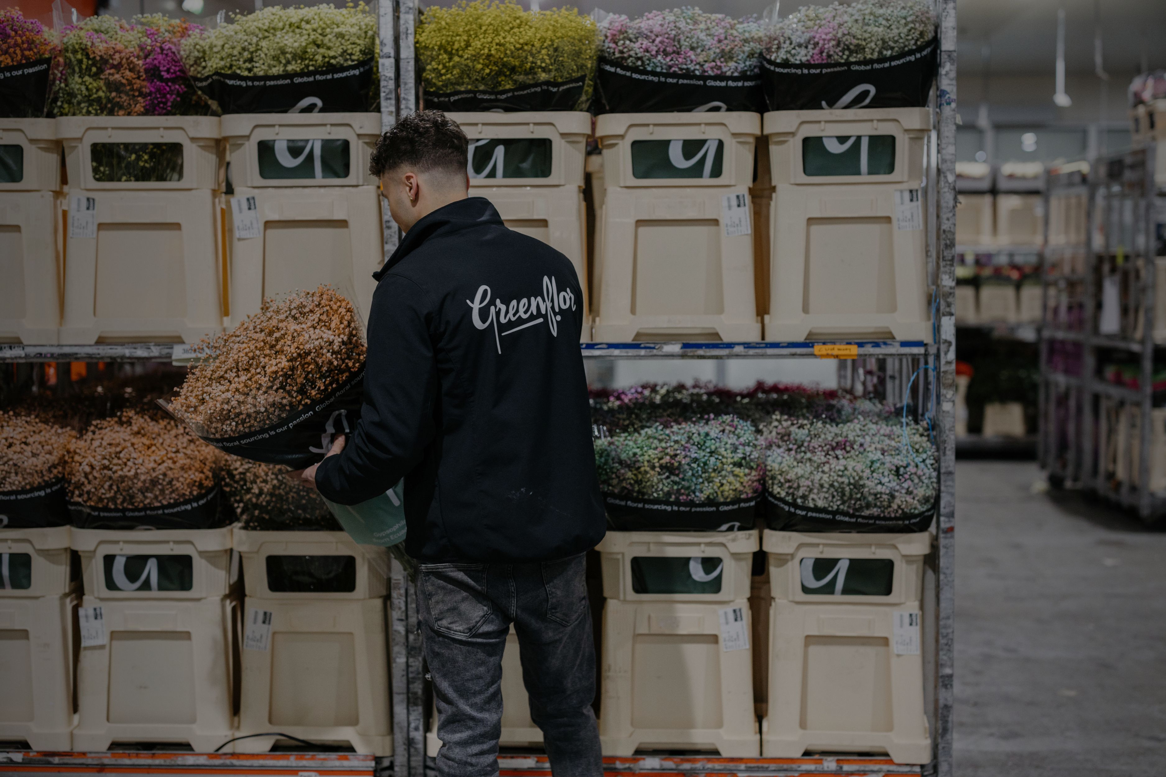 Großhandelsflorist Greenflor