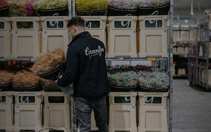 Fiorista all'ingrosso Greenflor