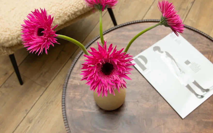 VDP-gerbara-fall collection-0924 small (3)