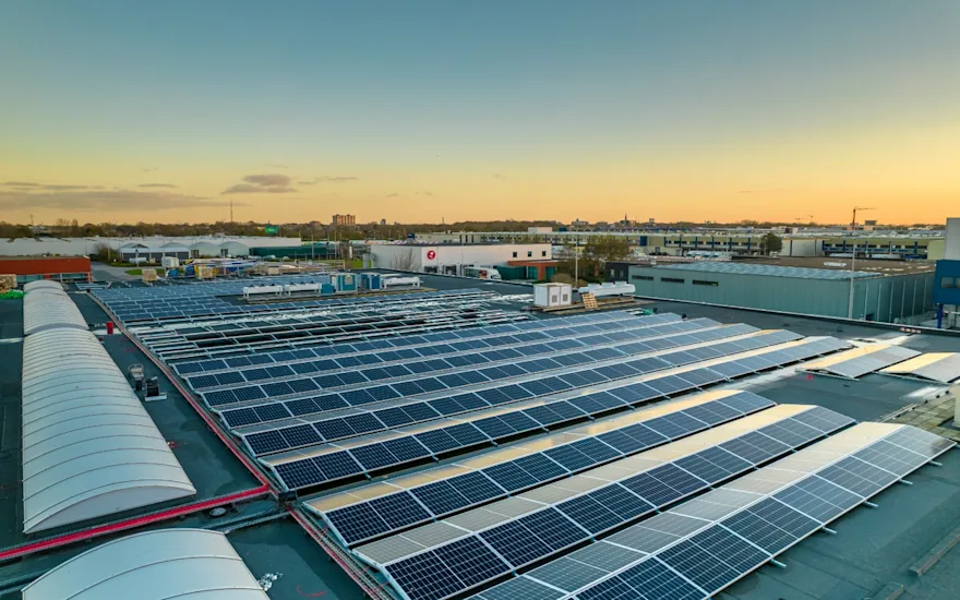 Durable quality flowers solar energy