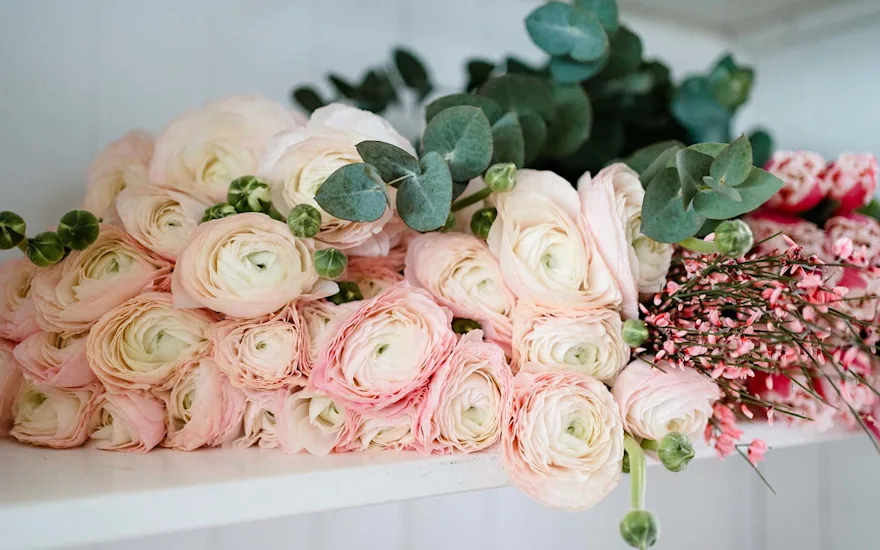 Van der Plas voorjaar bloemen en planten7