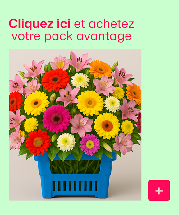 Bundel aanbieding kopen