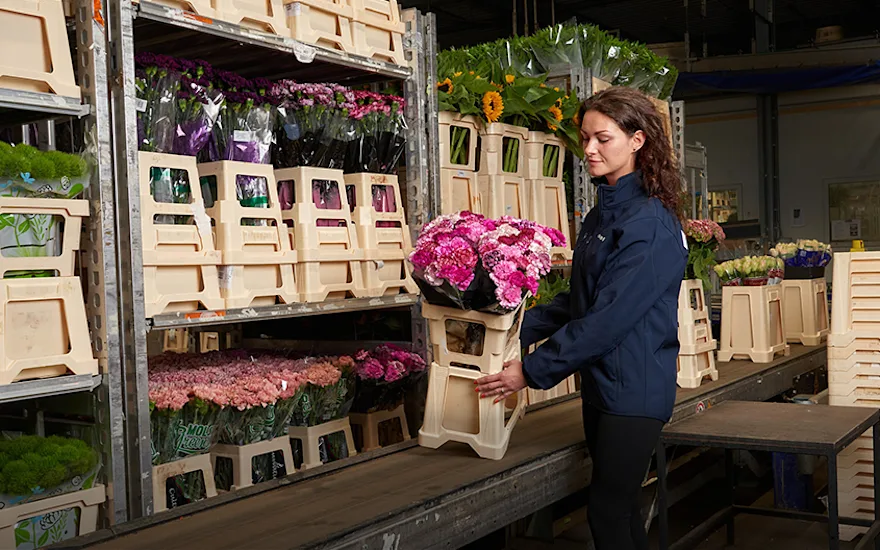 VDP - Employee at flower supply chain 3