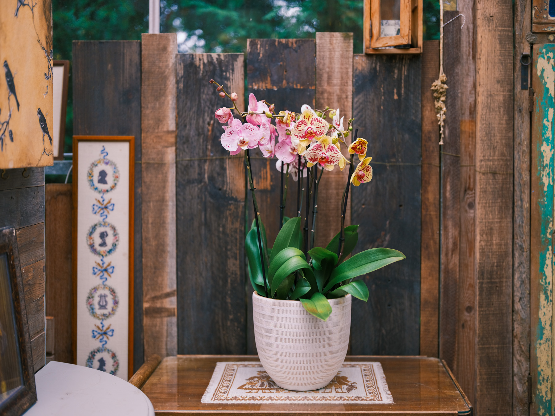 Kerstshoot 24 bewerkt orchidee-verkleind (10)