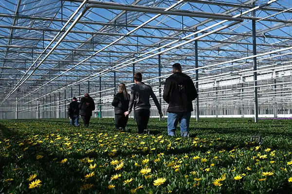 Skleník Grootscholten