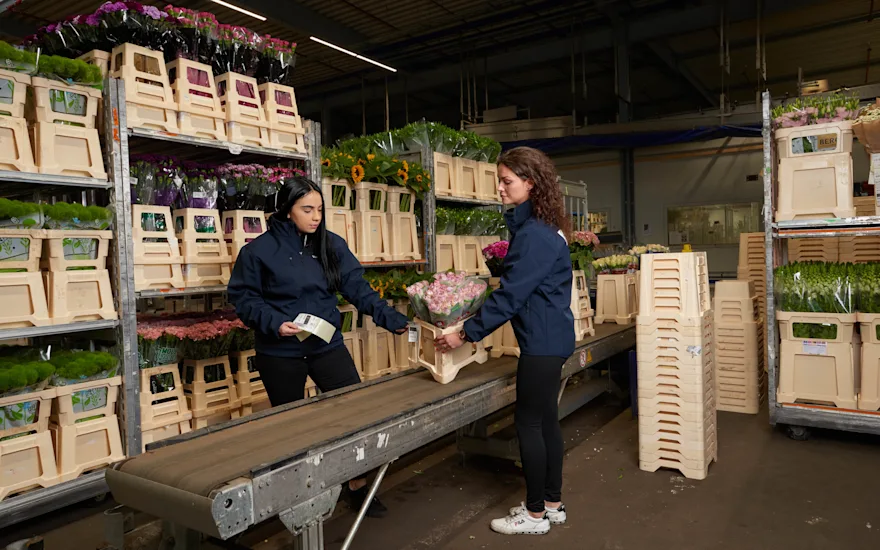 Dutch flowers for you flower shop