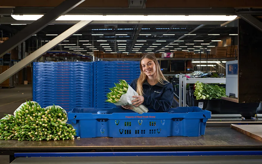 Floral wholesale online