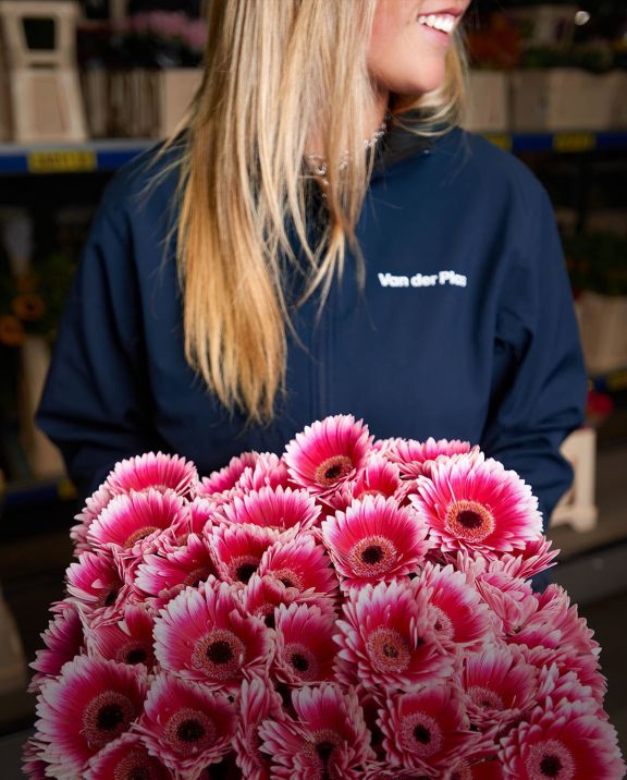 VDP - employee with Summit gerbera prelude 3