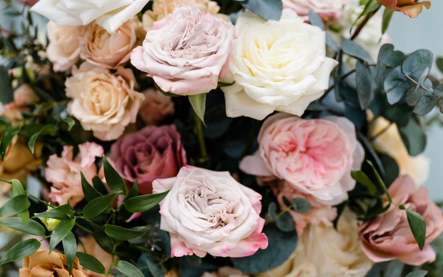 Parfum Flower Company roses