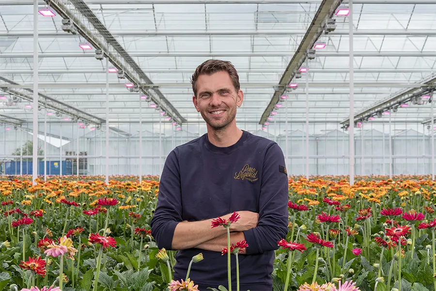 KwekerijDeZuidplas 8741