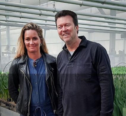 Tulipandyrkere i drivhuset sitt