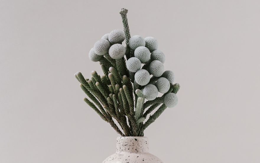 Silver Brunia